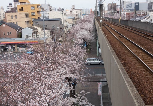 201704051536-P1030877FZ85.jpg