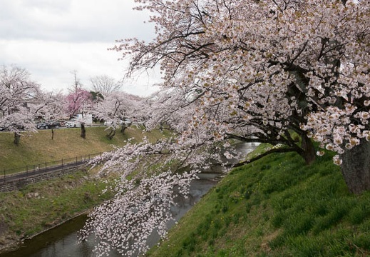 201704061120-DSC02064RX10M3.jpg
