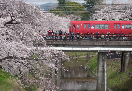 201704061127-DSC02087RX10M3.jpg