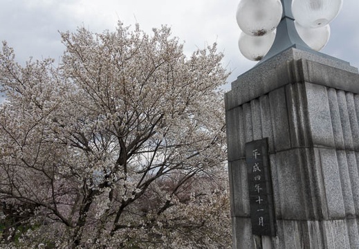 201704061132-DSC02103RX10M3.jpg