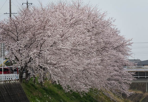 201704061137-DSC02113RX10M3.jpg