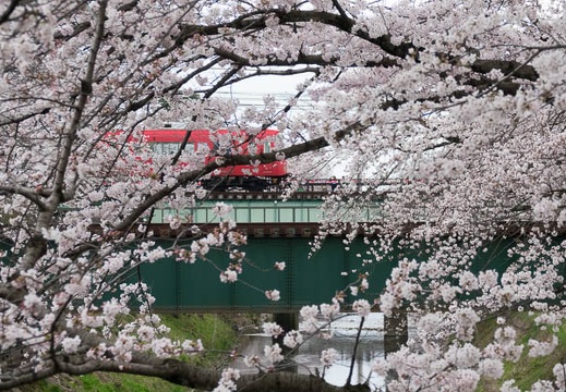 201704061155-DSC02159RX10M3.jpg