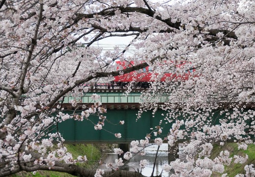 201704061155-DSC02177RX10M3.jpg