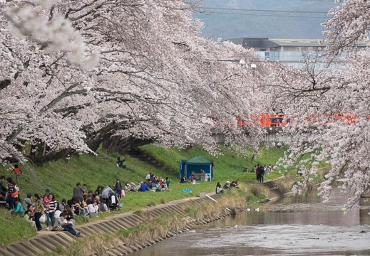 201704061159-DSC02194RX10M3.jpg