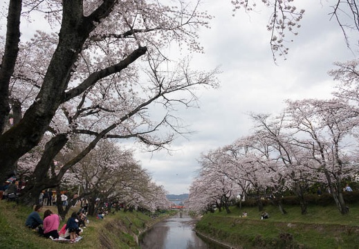 201704061200-DSC02200RX10M3.jpg