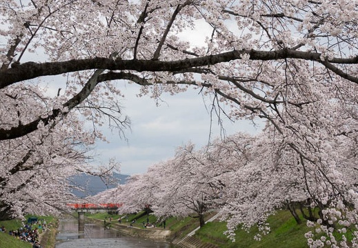 201704061204-DSC02214RX10M3.jpg
