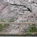 201704071422-DSC02622RX10M3.jpg