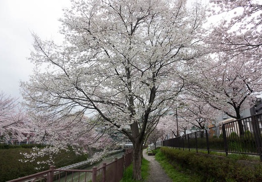 201704071518-DSC02790RX10M3.jpg