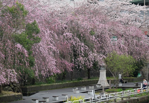 201704071520-DSC02797RX10M3.jpg