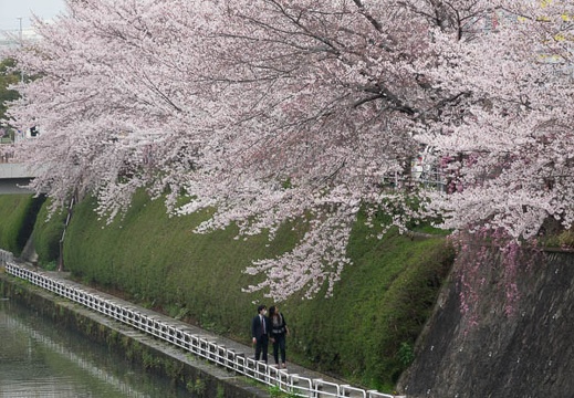 201704071524-DSC02811RX10M3.jpg