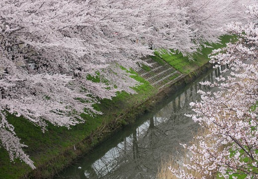 04.07 名古屋