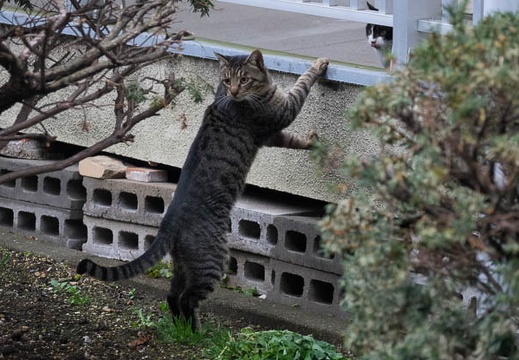 201704071611-DSC02974RX10M3.jpg