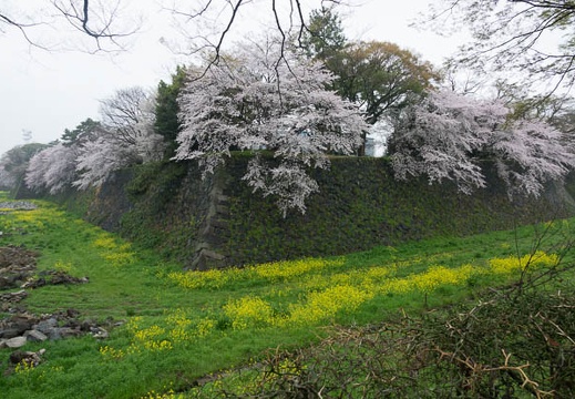 201704080948-DSC03066RX10M3.jpg