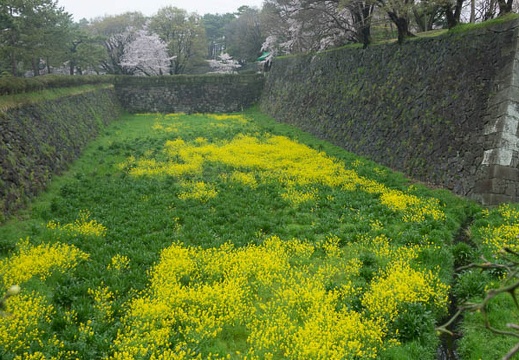 04.08 名古屋