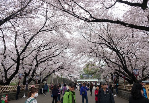 201704081040-DSC03234RX10M3.jpg