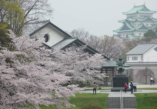 201704081101-DSC03295RX10M3.jpg