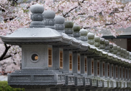 201704091037-DSC03867RX10M3.jpg