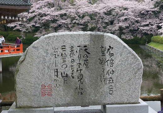 201704091039-DSC03876RX10M3.jpg