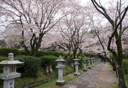 201704091049-DSC03909RX10M3.jpg