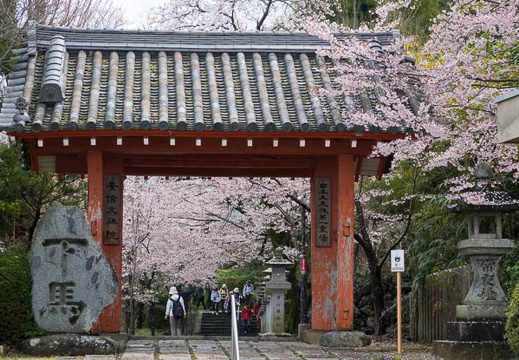 201704091102-DSC03933RX10M3.jpg