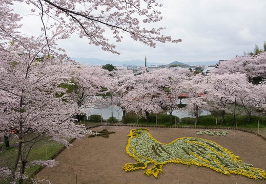 201704091130-DSC04033RX10M3.jpg