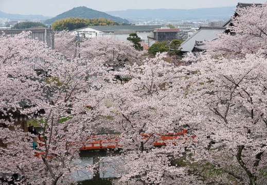 201704091131-DSC04038RX10M3.jpg