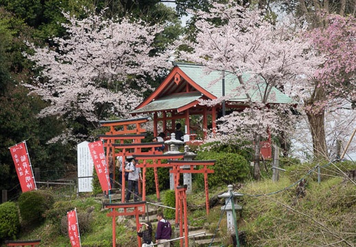 201704091141-DSC04075RX10M3.jpg