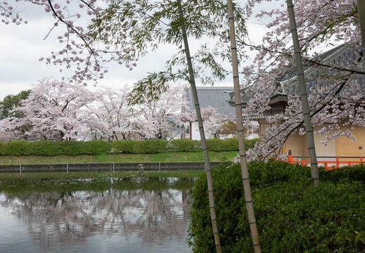 201704091149-DSC04101RX10M3.jpg