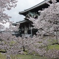 201704091521-DSC04368RX10M3.jpg