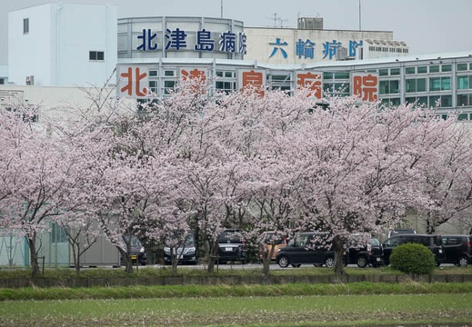 201704101148-DSC04550RX10M3.jpg