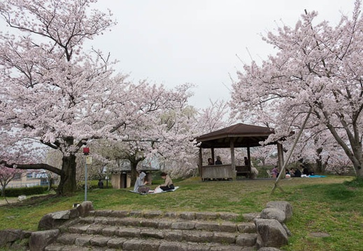 201704101201-DSC04569RX10M3.jpg