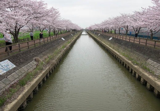 201704101209-DSC04585RX10M3.jpg