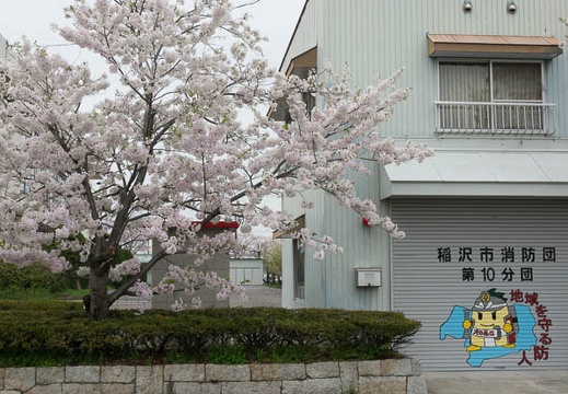 201704101339-DSC04753RX10M3.jpg