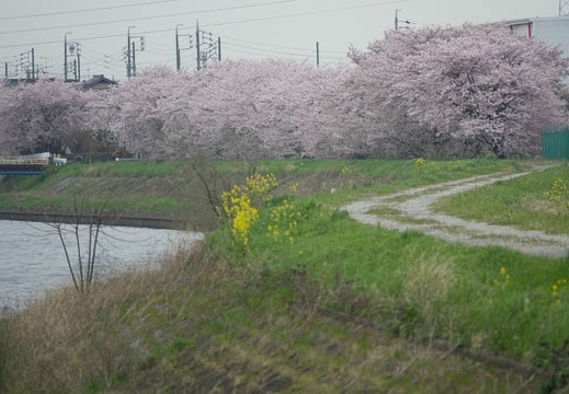 201704101430-DSC04775RX10M3.jpg