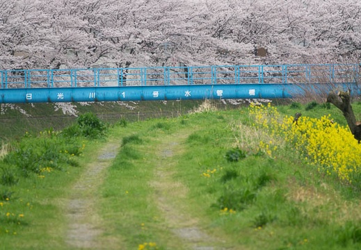 201704101432-DSC04779RX10M3.jpg