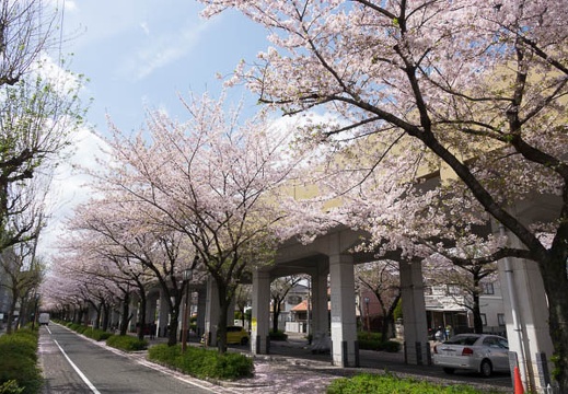 201704121311-DSC04847RX10M3.jpg