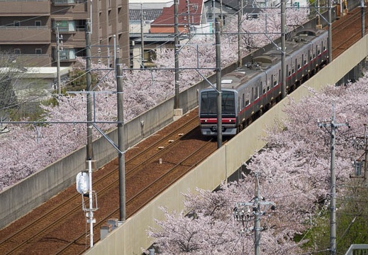 201704121316-DSC04859RX10M3.jpg