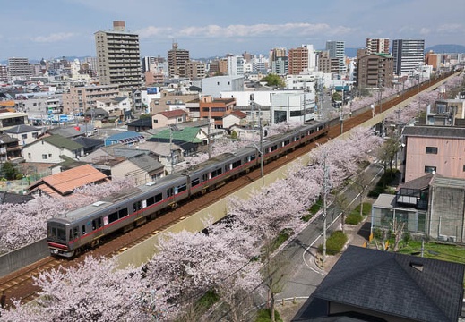 201704121320-DSC04879RX10M3.jpg