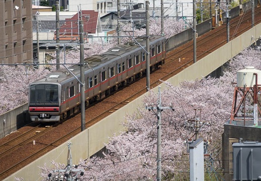 201704121321-DSC04881RX10M3.jpg