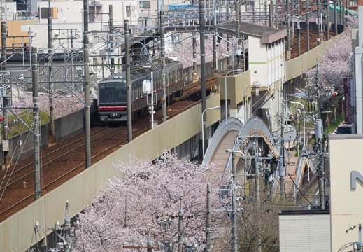 201704121321-DSC04883RX10M3.jpg