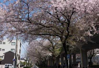 201704121331-DSC04902RX10M3.jpg