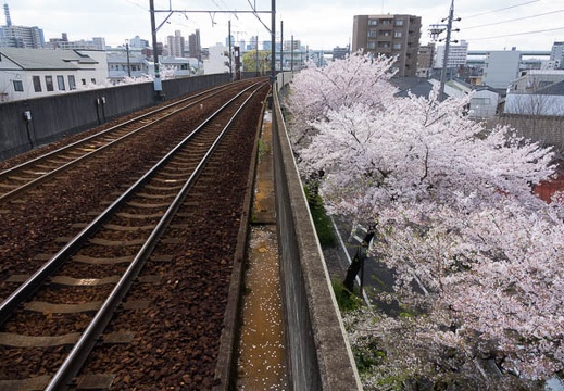 201704121346-DSC04936RX10M3.jpg