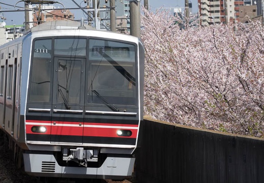 201704121400-DSC04963RX10M3.jpg