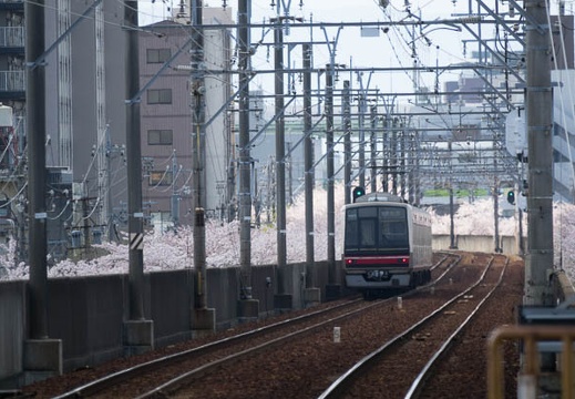 201704121412-DSC04996RX10M3.jpg