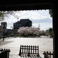201704121508-DSC05040RX10M3.jpg