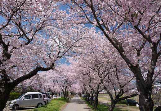 201704131140-DSC05094RX10M3.jpg