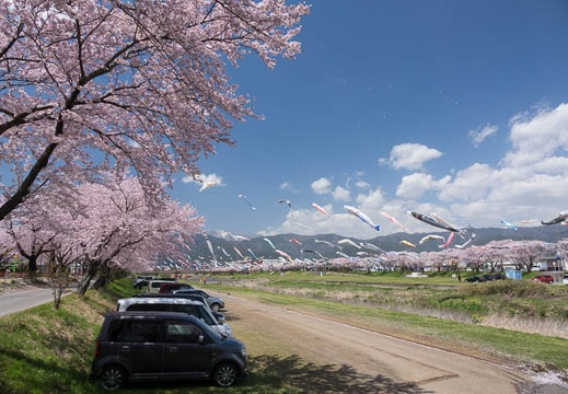 201704131143-DSC05107RX10M3.jpg