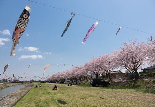 201704131153-DSC05148RX10M3.jpg