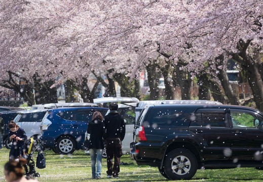 201704131158-DSC05174RX10M3.jpg