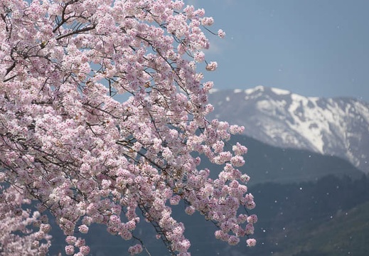 04.13 岐阜